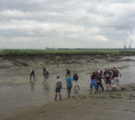 Bezoekers volgen de excursie door het Verdronken Land van Saeftinghe met een gids