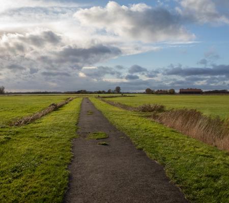 Oudland met poelgebieden en kreekruggen, Walcheren
