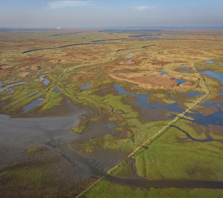 Luchtfoto Verdronken Land van Saeftinghe (gemaakt door Marcelle Davidse)