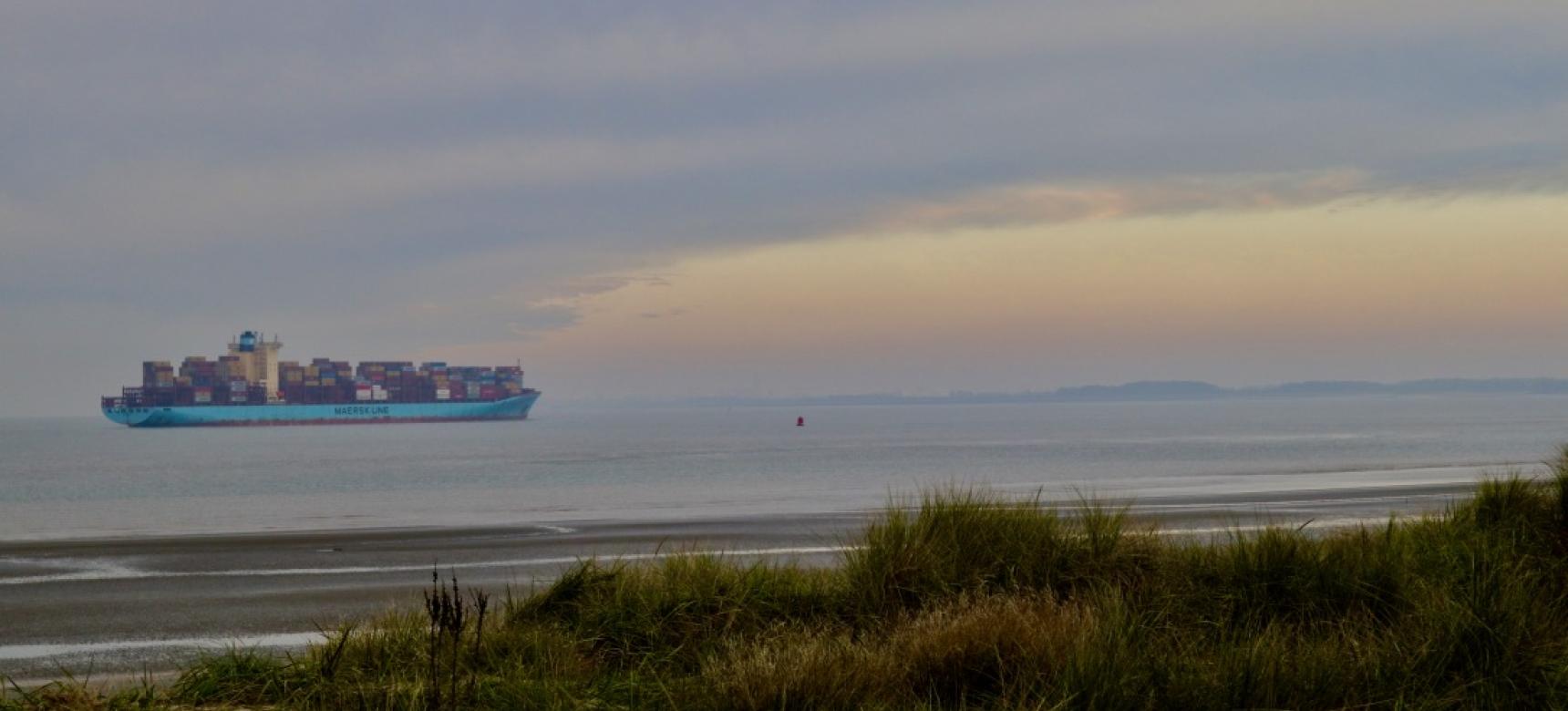 Kaloot - Van tropische zee tot Schelde