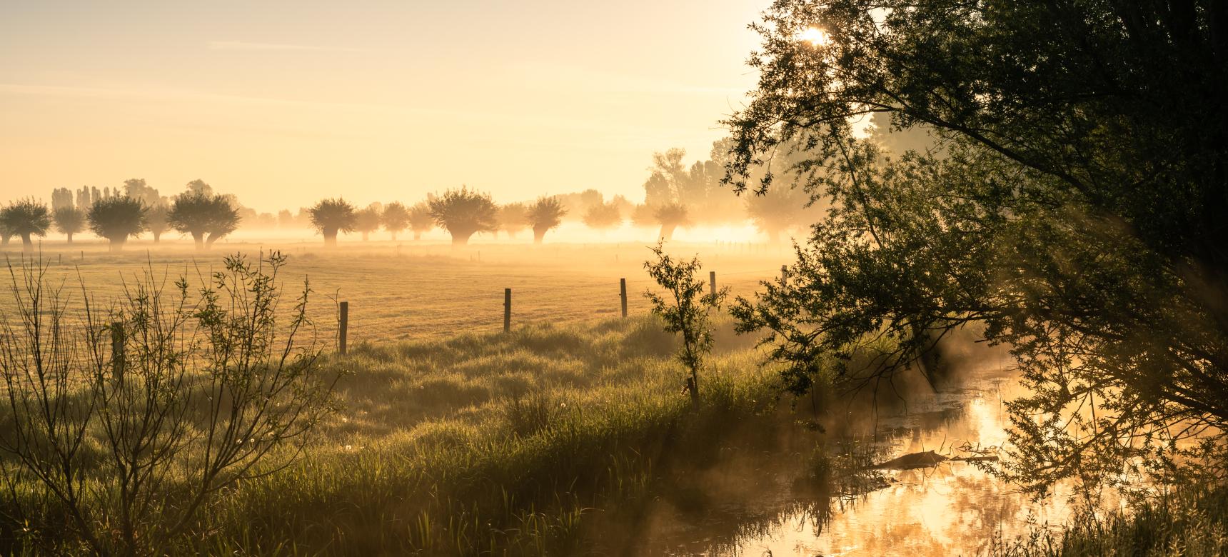 Paleovallei van de Oude Kale (gemaakt door Jonas Vandecasteele - Toerisme Leiestreek)