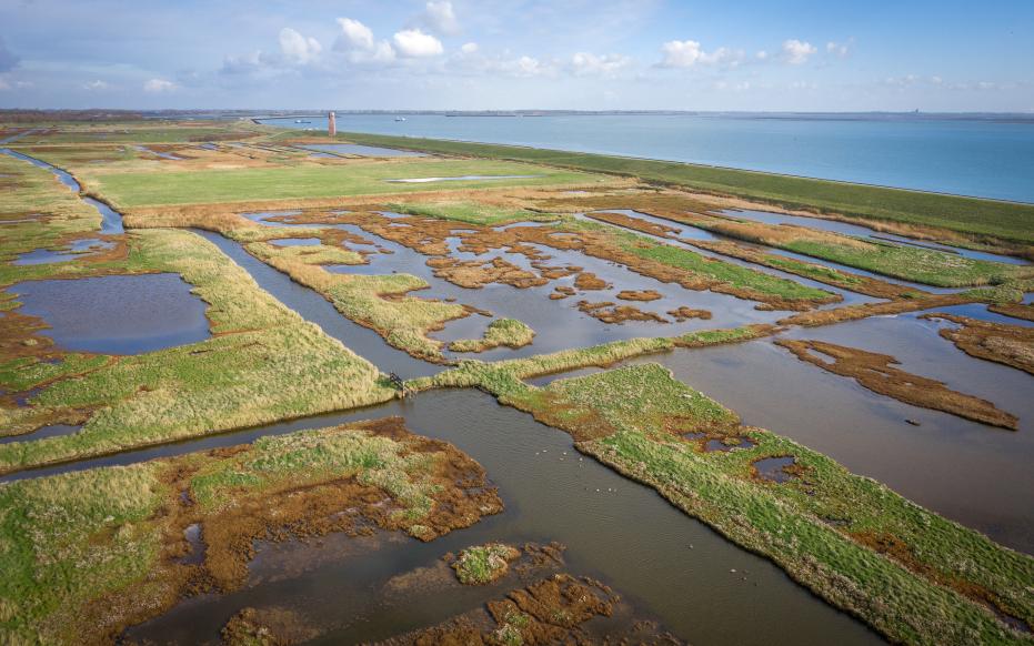 Koudekerksche Inlaag - Zilte natuur met de toren van verdronken dorp Koudekerke (Marcelle Davidse)