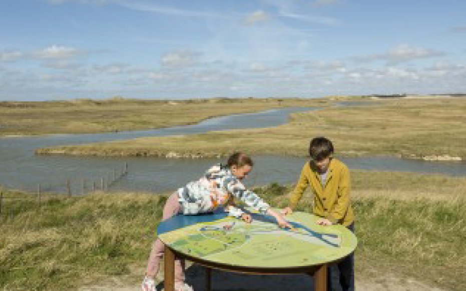 Kinderen in het Zwin (gemaakt door Wolf & Wolf)