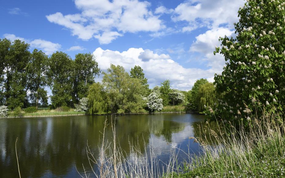 Dijken Zak van Zuid-Beveland (gemaakt door Aart van Belzen)