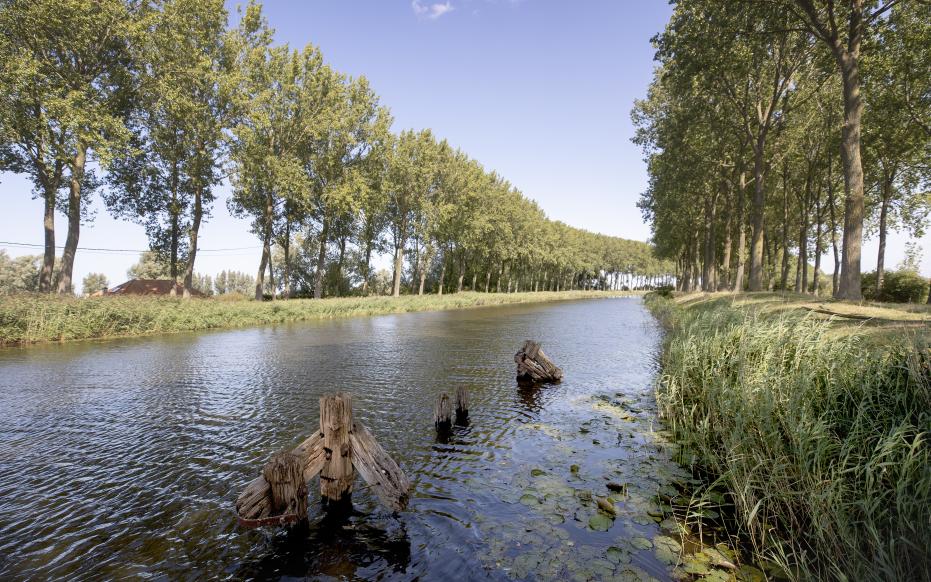 Damse Vaart (gemaakt door David Samyn)