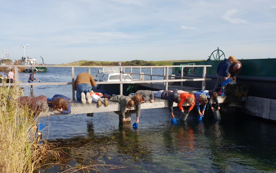 Speurtocht naar onderwaterleven tijdens de Grevelingenweek (IVN)