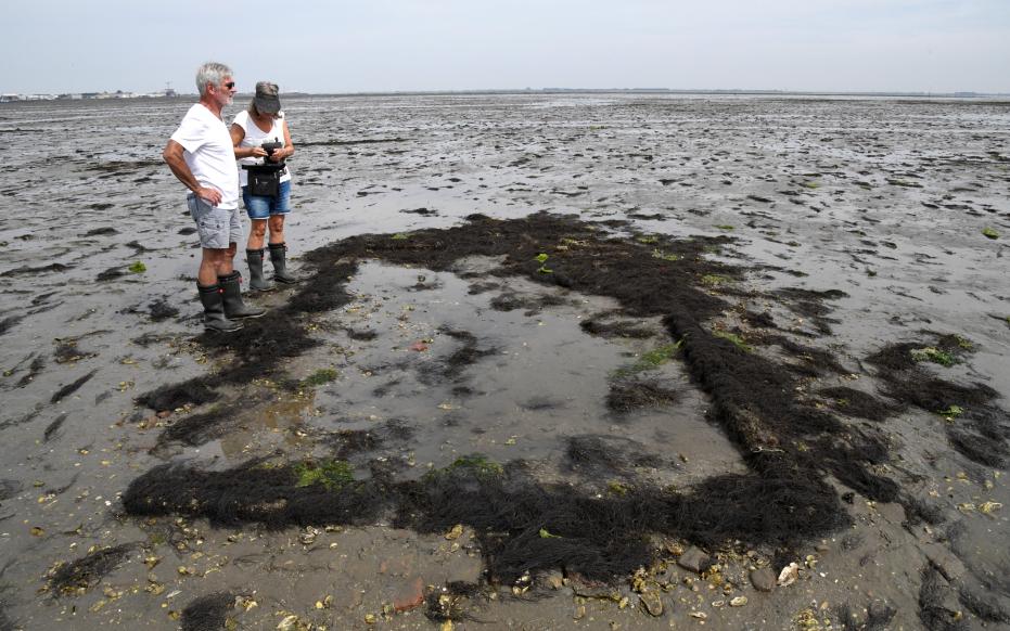 Verdronken Land van Zuid-Beveland - verdronken dorp Tolseinde (gemaakt door Aart van Belzen)