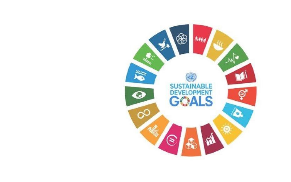 Sustainable development goals in cirkel