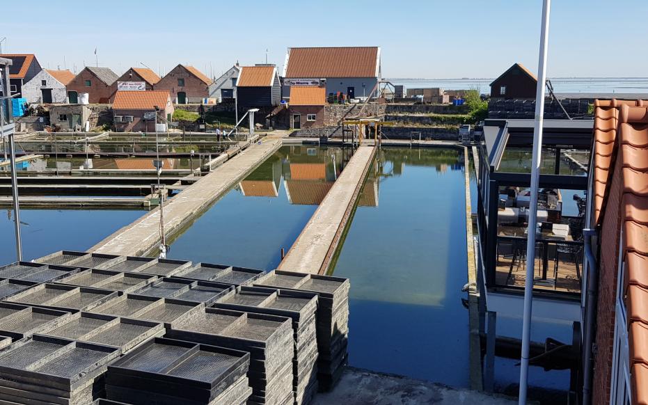 Oesterputten en mosselteelt, Yerseke - Walter Jonkers