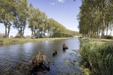 Damse Vaart