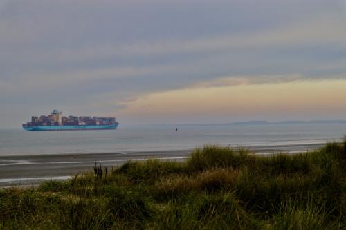 Kaloot - Van tropische zee tot Schelde