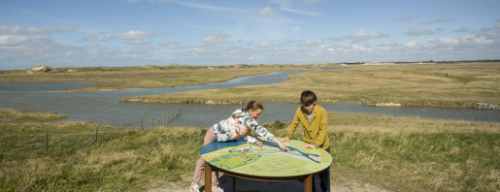 Kinderen in het Zwin (gemaakt door Wolf & Wolf)