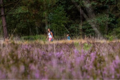 Wandelende mensen in Grenspark Kalmthoutse Heide