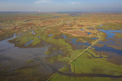 Verdronken Land van Saeftinghe